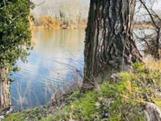Eladó 683 m²-estelek Szigetcsép, Dunasor közeli utca: 39'990'000 Ft