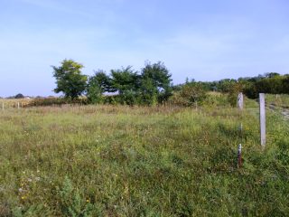 Eladó 519 m²-estelek Szigetcsép, Dunasor utca: 18'900'000 Ft