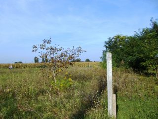 Eladó 519 m²-estelek Szigetcsép, Dunasor utca: 18'900'000 Ft