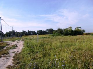 Eladó 519 m²-estelek Szigetcsép, Dunasor utca: 18'900'000 Ft