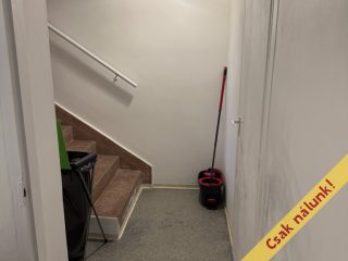 Eladó 132 m²-escsaládi ház Szigetszentmiklós, Bíró Lajos utca közeli, Duna parti utca: 99'000'000 Ft