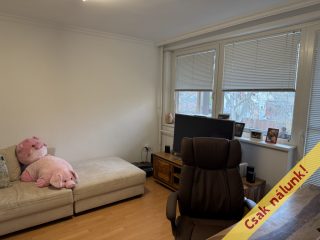 Eladó 132 m²-escsaládi ház Szigetszentmiklós, Bíró Lajos utca közeli, Duna parti utca: 99'000'000 Ft