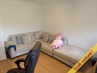 Eladó 132 m²-escsaládi ház Szigetszentmiklós, Bíró Lajos utca közeli, Duna parti utca: 99'000'000 Ft