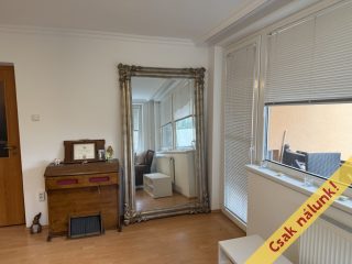 Eladó 132 m²-escsaládi ház Szigetszentmiklós, Bíró Lajos utca közeli, Duna parti utca: 99'000'000 Ft