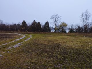 Eladó 4526 m²-estelek Szigetszentmiklós, Csepeli út út: 120'000'000 Ft