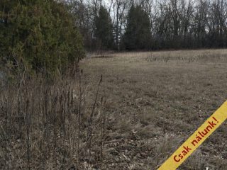 Eladó 801 m²-estelek Szigetszentmiklós, Czuczor sziget: 22'000'000 Ft