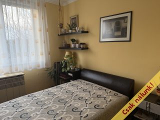 Eladó 52 m²-estársasházi lakás Szigetszentmiklós, Ifjuság utca: 53'500'000 Ft