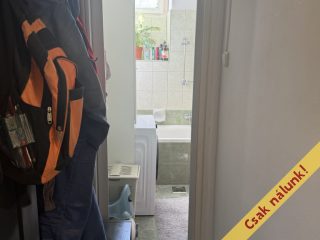 Eladó 50 m²-estársasházi lakás Szigetszentmiklós, József Attila ltp utca: 53'999'000 Ft