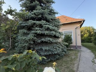 Eladó 133 m²-escsaládi ház Szigetszentmiklós (Óváros) , Szilágyi Lajos utca közeli utca: 79'000'000 Ft