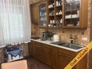 Eladó 502 m²-escsaládi ház Szigetszentmiklós, Ragád részen utca: 249'000'000 Ft