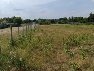Eladó 1181 m²-estelek Szigetújfalu, Cseresznyés út közeli utca: 14'700'000 Ft