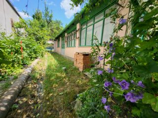 Eladó 56 m²-escsaládi ház Szob, Somogyi Béla utca környéke: 24'900'000 Ft