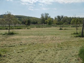 Eladó 13109 m²-esmezőgazdasági ingatlan Tab, BELTERÜLET: 8'900'000 Ft