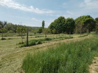 Eladó 13109 m²-esmezőgazdasági ingatlan Tab, BELTERÜLET: 8'900'000 Ft