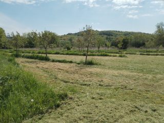 Eladó 13109 m²-esmezőgazdasági ingatlan Tab, BELTERÜLET: 7'500'000 Ft