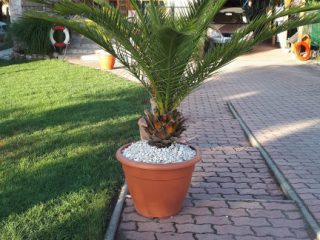 Eladó 120 m²-escsaládi ház Tass, Dunapart utca: 150'000'000 Ft