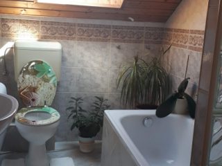 Eladó 120 m²-escsaládi ház Tass, Dunapart utca: 150'000'000 Ft