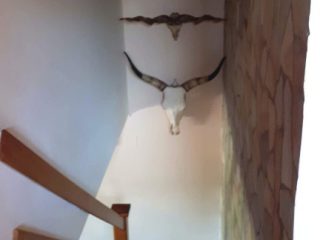 Eladó 120 m²-escsaládi ház Tass, Dunapart utca: 150'000'000 Ft