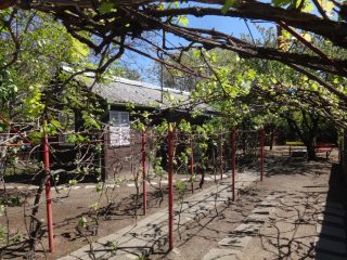 Eladó 35 m²-esüdülő Tiszakécske, Gerle utca: 19'800'000 Ft