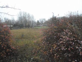 Eladó 363 m²-estelek Tiszakécske, Hattyú utca: 3'900'000 Ft