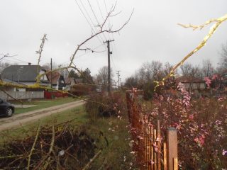 Eladó 363 m²-estelek Tiszakécske, Hattyú utca: 3'900'000 Ft
