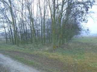 Eladó 2527 m²-estelek Tiszakécske, Holt-Tiszánoz közel utca: 6'500'000 Ft