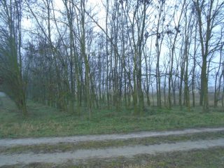 Eladó 2527 m²-estelek Tiszakécske, Holt-Tiszánoz közel utca: 6'500'000 Ft