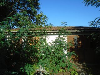 Eladó 116 m²-escsaládi ház Tiszakécske, Jókai utca: 37'000'000 Ft