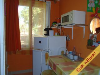 Eladó 385 m²-esüdülő Tiszakécske (Kerekdomb) , Boróka utca: 79'900'000 Ft