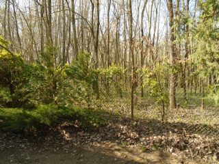 Eladó 76 m²-esüdülő Tiszakécske (Kerekdomb) , Sellő utca: 29'990'000 Ft