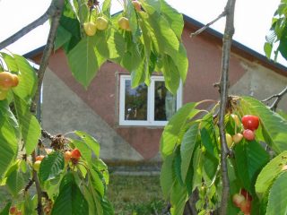 Eladó 40 m²-esüdülő Tiszakécske (Kerekdomb) , Szegfű utca: 21'900'000 Ft