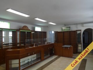 Eladó 250 m²-escsaládi ház Tiszakécske, Kossuth Lajos utca: 85'000'000 Ft