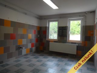 Eladó 250 m²-escsaládi ház Tiszakécske, Kossuth Lajos utca: 85'000'000 Ft