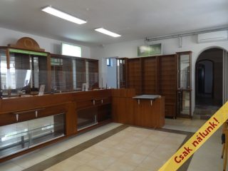 Eladó 250 m²-escsaládi ház Tiszakécske, Kossuth Lajos utca: 85'000'000 Ft