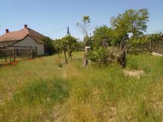 Eladó 80 m²-escsaládi ház Tiszakécske, Márai Sándor utca: 16'500'000 Ft