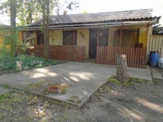 Eladó 18268 m²-esmezőgazdasági ingatlan Tiszakécske, Pereghalom dűlő: 15'900'000 Ft