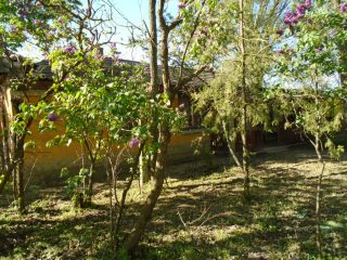 Eladó 18268 m²-esmezőgazdasági ingatlan Tiszakécske, Pereghalom dűlő: 15'900'000 Ft