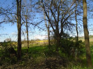 Eladó 18268 m²-esmezőgazdasági ingatlan Tiszakécske, Pereghalom dűlő: 15'900'000 Ft