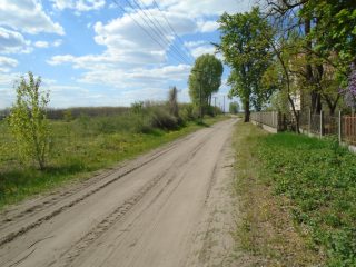 Eladó 18268 m²-esmezőgazdasági ingatlan Tiszakécske, Pereghalom dűlő: 15'900'000 Ft