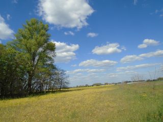 Eladó 18268 m²-esmezőgazdasági ingatlan Tiszakécske, Pereghalom dűlő: 15'900'000 Ft