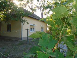 Eladó 3460 m²-esmezőgazdasági ingatlan Tiszakécske, Székhalom dűlő: 29'900'000 Ft