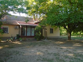 Eladó 3460 m²-esmezőgazdasági ingatlan Tiszakécske, Székhalom dűlő: 29'900'000 Ft