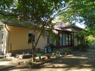 Eladó 3460 m²-esmezőgazdasági ingatlan Tiszakécske, Székhalom dűlő: 29'900'000 Ft