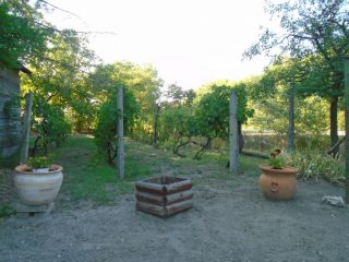 Eladó 3460 m²-esmezőgazdasági ingatlan Tiszakécske, Székhalom dűlő: 29'900'000 Ft