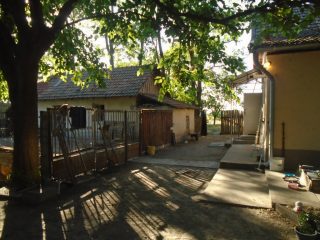 Eladó 3460 m²-esmezőgazdasági ingatlan Tiszakécske, Székhalom dűlő: 29'900'000 Ft