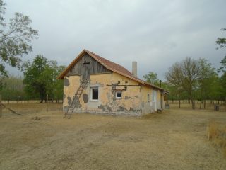 Eladó 9727 m²-esmezőgazdasági ingatlan Tiszakécske, Székhalom dűlő: 12'900'000 Ft