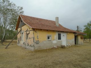Eladó 9727 m²-esmezőgazdasági ingatlan Tiszakécske, Székhalom dűlő: 12'900'000 Ft