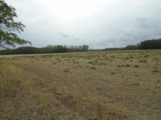 Eladó 9727 m²-esmezőgazdasági ingatlan Tiszakécske, Székhalom dűlő: 12'900'000 Ft
