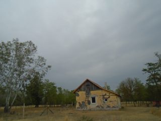Eladó 9727 m²-esmezőgazdasági ingatlan Tiszakécske, Székhalom dűlő: 12'900'000 Ft