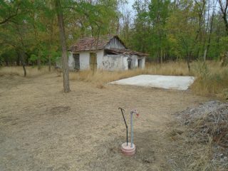 Eladó 9727 m²-esmezőgazdasági ingatlan Tiszakécske, Székhalom dűlő: 12'900'000 Ft